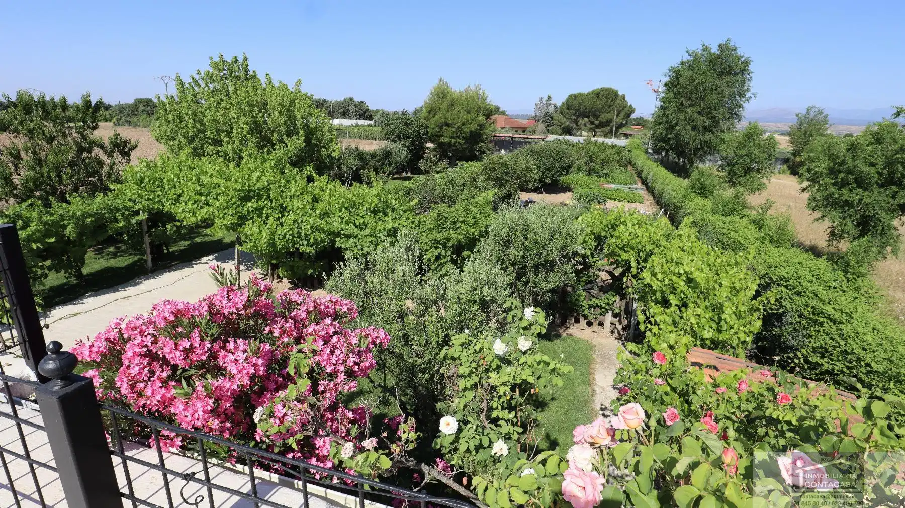 Jardín de Casa o chalet en venta en Fuente El Saz de Jarama con Calefacción, Terraza y Trastero