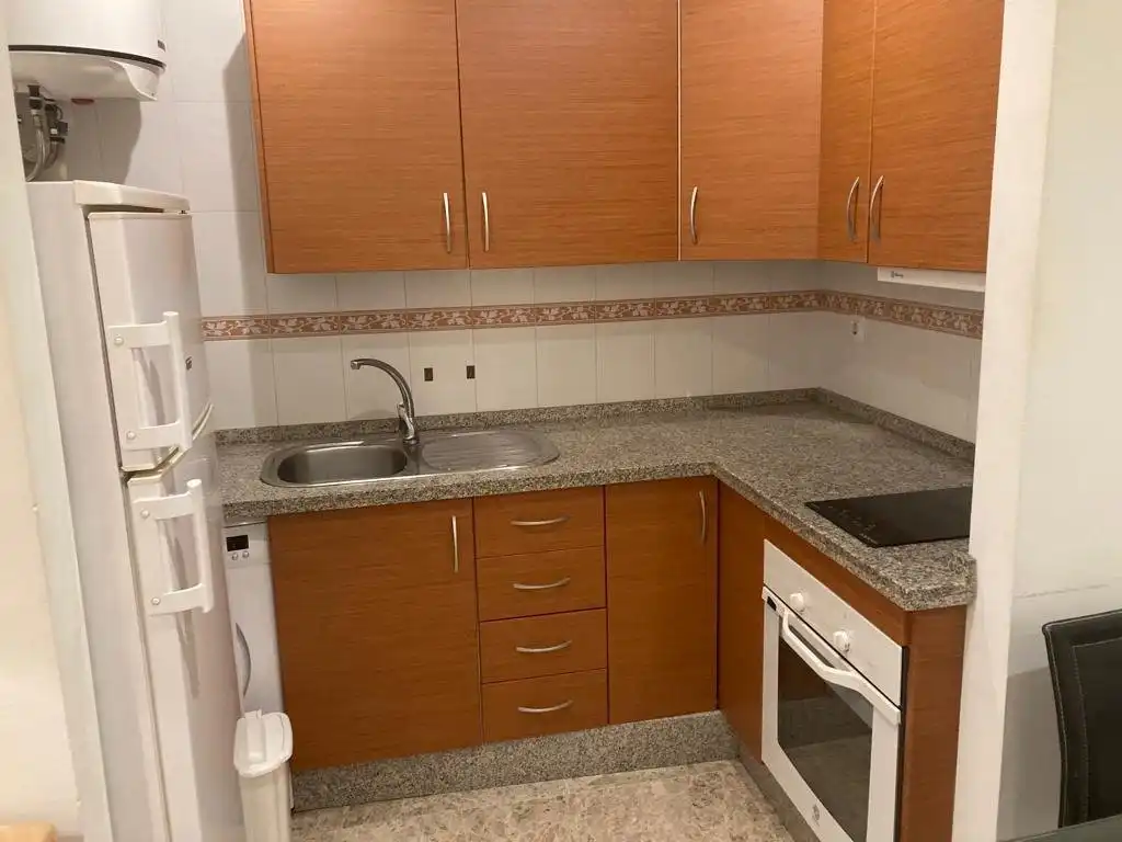 Appartamento con ascensore in affitto a Calle ALCALDE APARICIO Y MARIN 6, imagen 11
