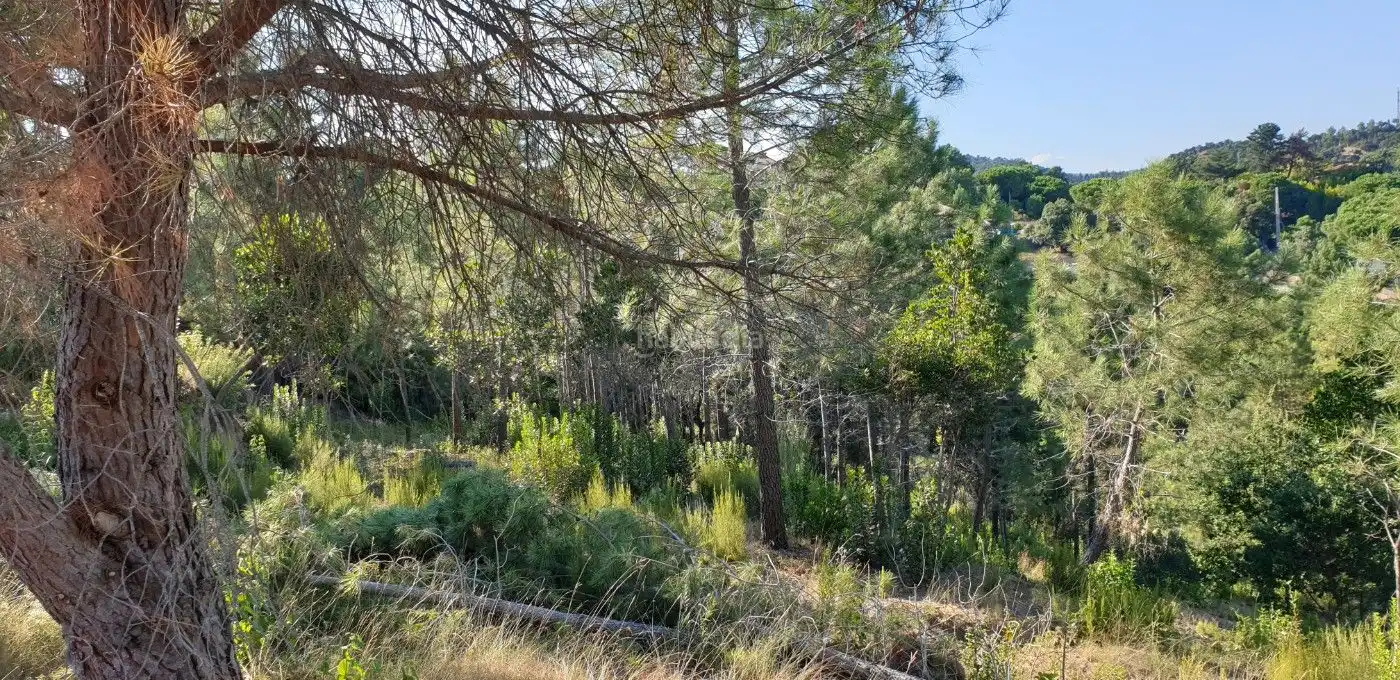 Wohnbaugrundstück zum Verkauf in Carrer de l'Ametller 31, imagen 11