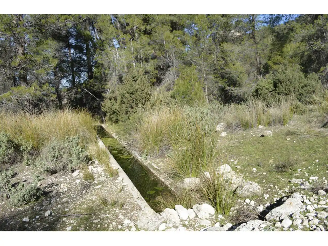 Lands and plots for sale in Pasaje Rincones y Sierra Espuña, imagen 22