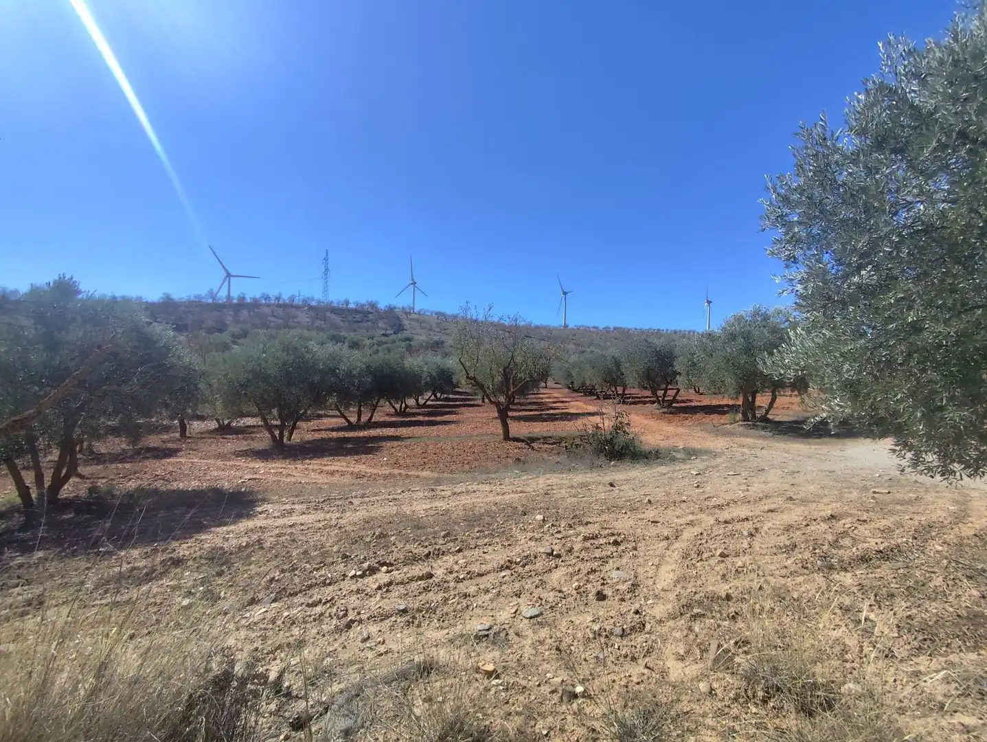 Landhaus zum Verkauf in LA VENTA DE  NIGUELAS S/N, imagen 15