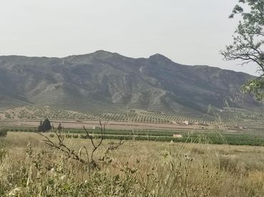 Casa rústica amb jardí en venda a Jumilla