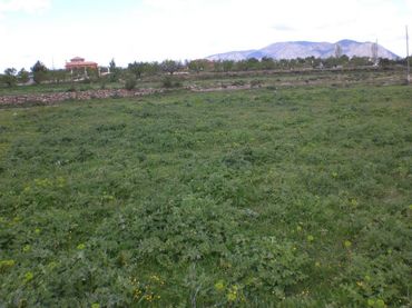 Terreno residenziale in vendita a Caravaca de la Cruz