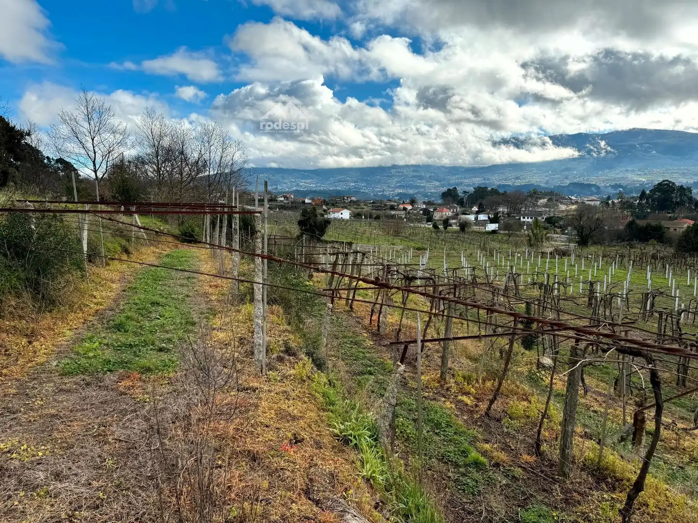 Rural land for sale in Arbo, imagen 14