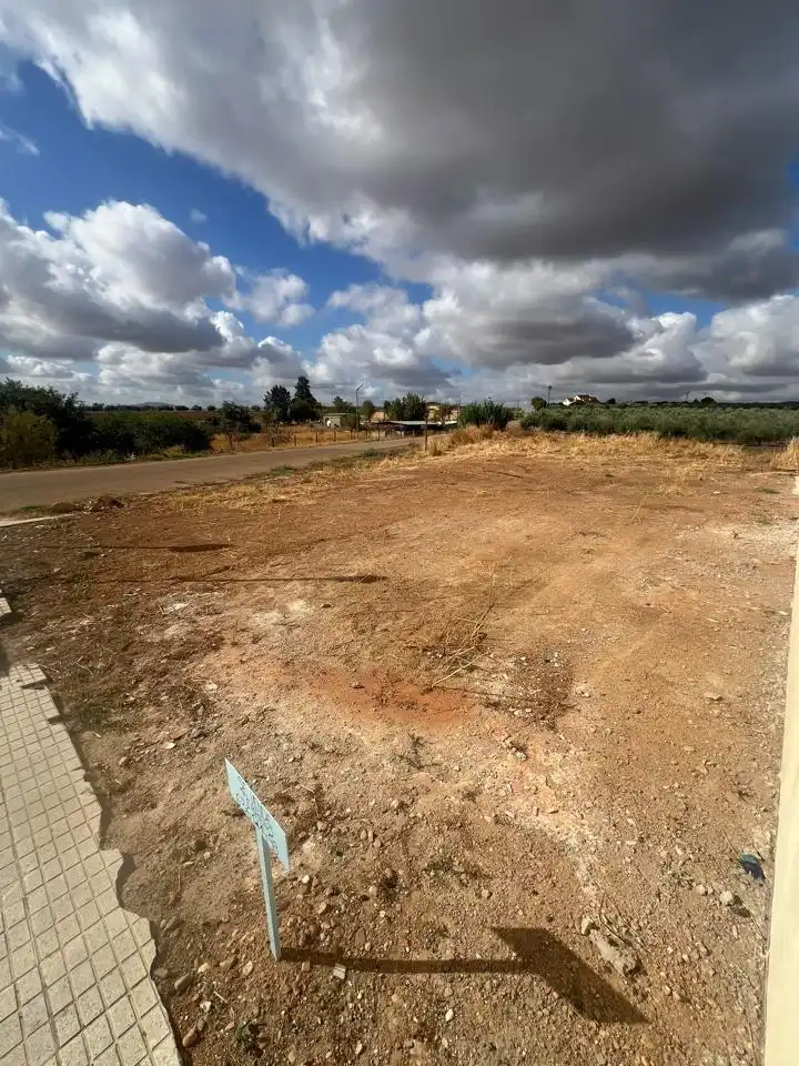 Residencial en venda en La Albuera
