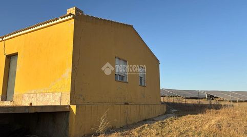 Foto 5 de Finca rústica en venda a Moguer, Huelva