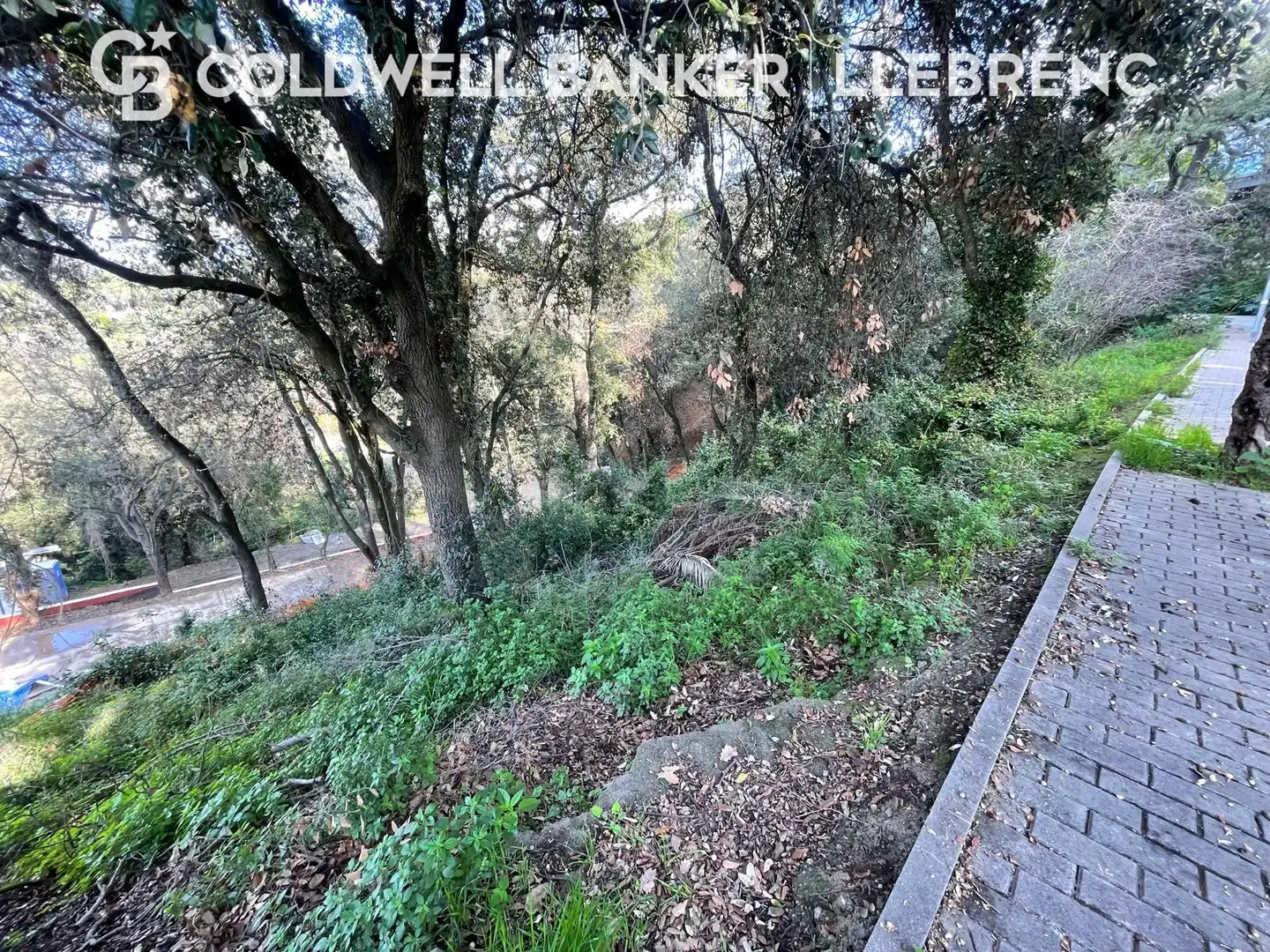 Residential land for sale in Carrer de Casafranca, imagen 6