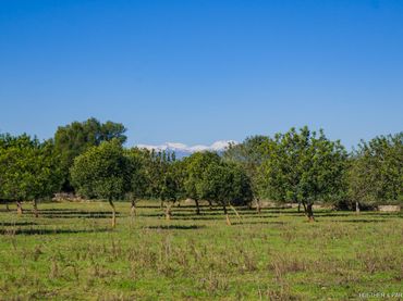 Terreno residencial en venta en Manacor Centre