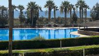 Swimming pool of Flat for sale in El Ejido  with Terrace, Storage room and Furnished