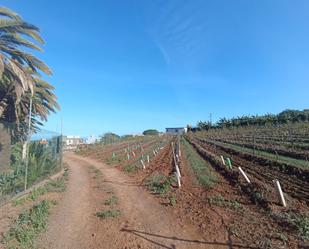 Finca rústica en venda en Tacoronte