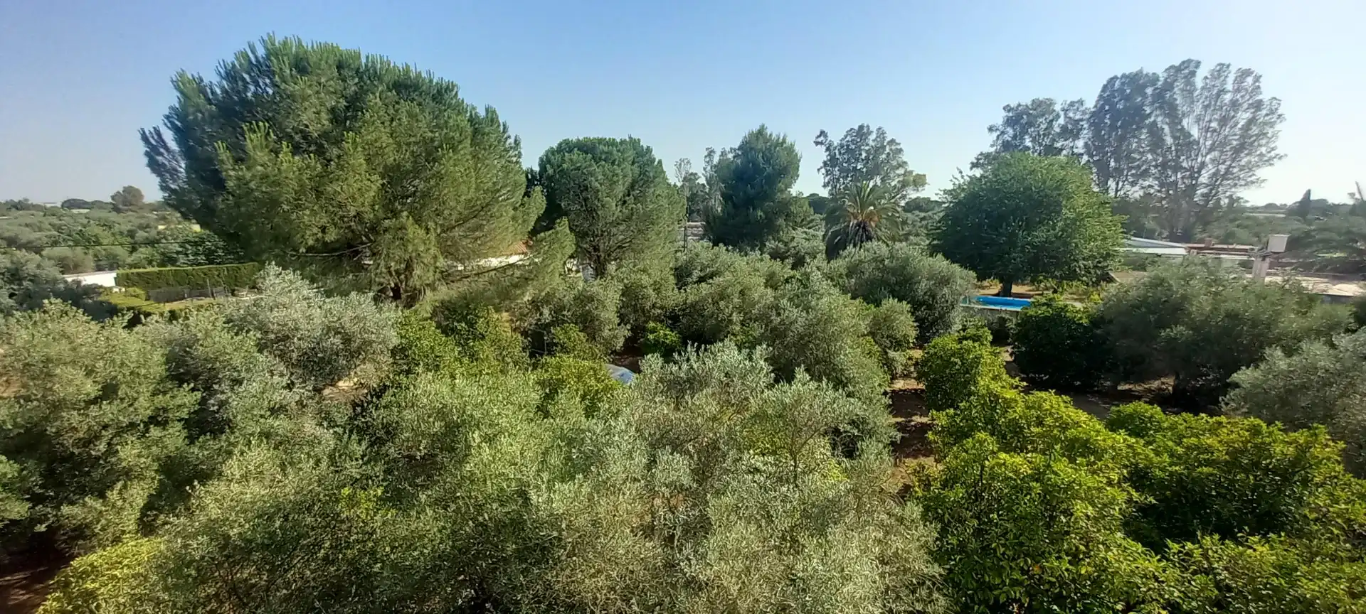 Terreni e lotti in vendita a Urbanización Casablanca, imagen 3