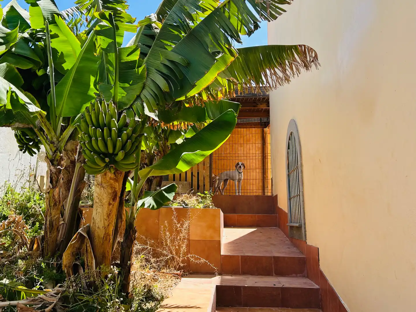 Vista exterior de Casa o xalet en venda en San Bartolomé de Tirajana amb Aire condicionat, Jardí privat i Terrassa