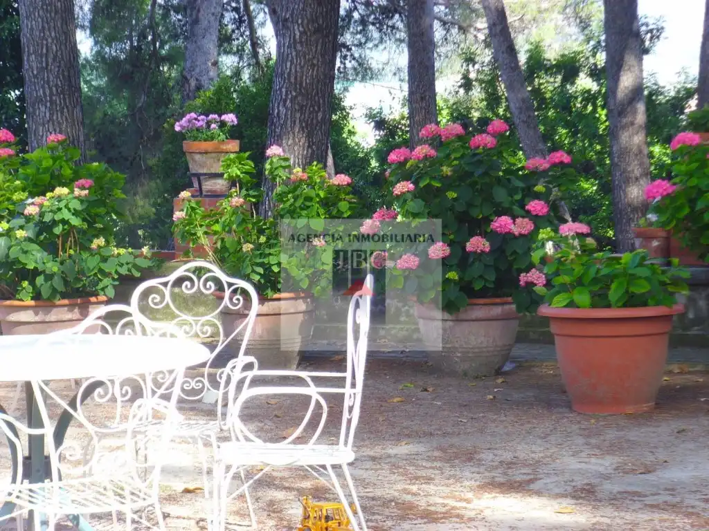 Maison rustique avec piscine à vendre à Muro de Alcoy, imagen 70