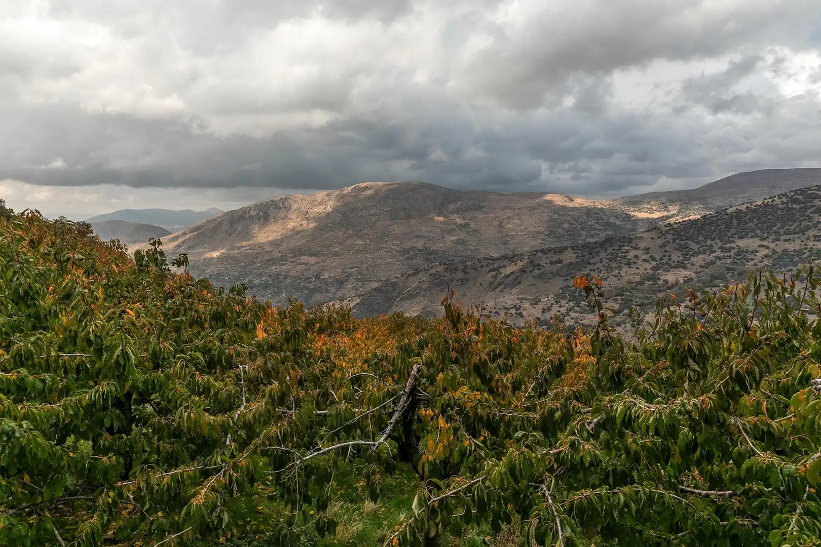 Lands and plots for sale in Güéjar Sierra, imagen 11