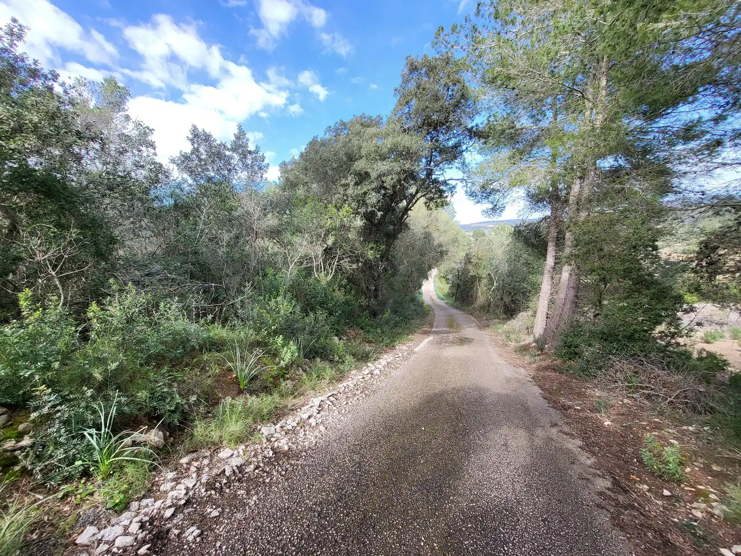 Terreni e lotti in vendita a Sant Joan, imagen 36