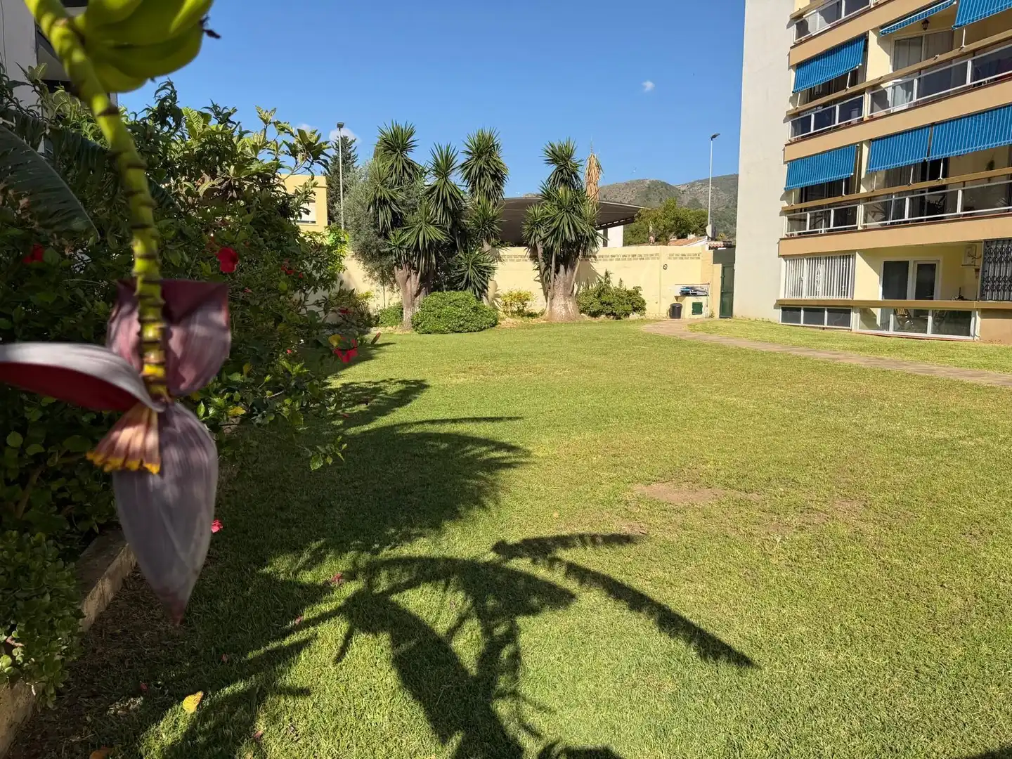 Garten von Geschaftsraum zum Verkauf in Centro