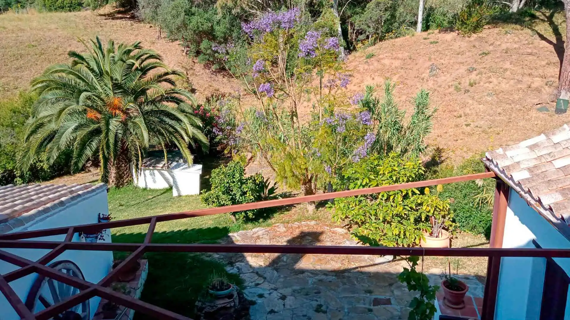 Jardí de Casa o xalet en venda en Casares amb Jardí privat, Terrassa i Piscina