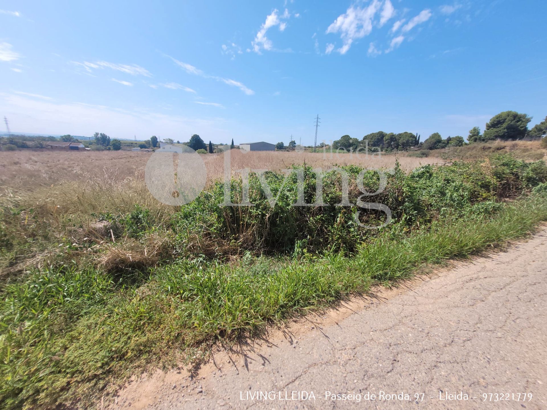Land for sale in Alcoletge