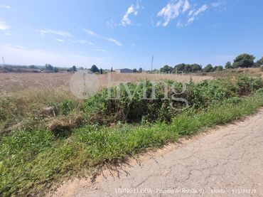 Terreno rustico in vendita a Carrer Miralbo