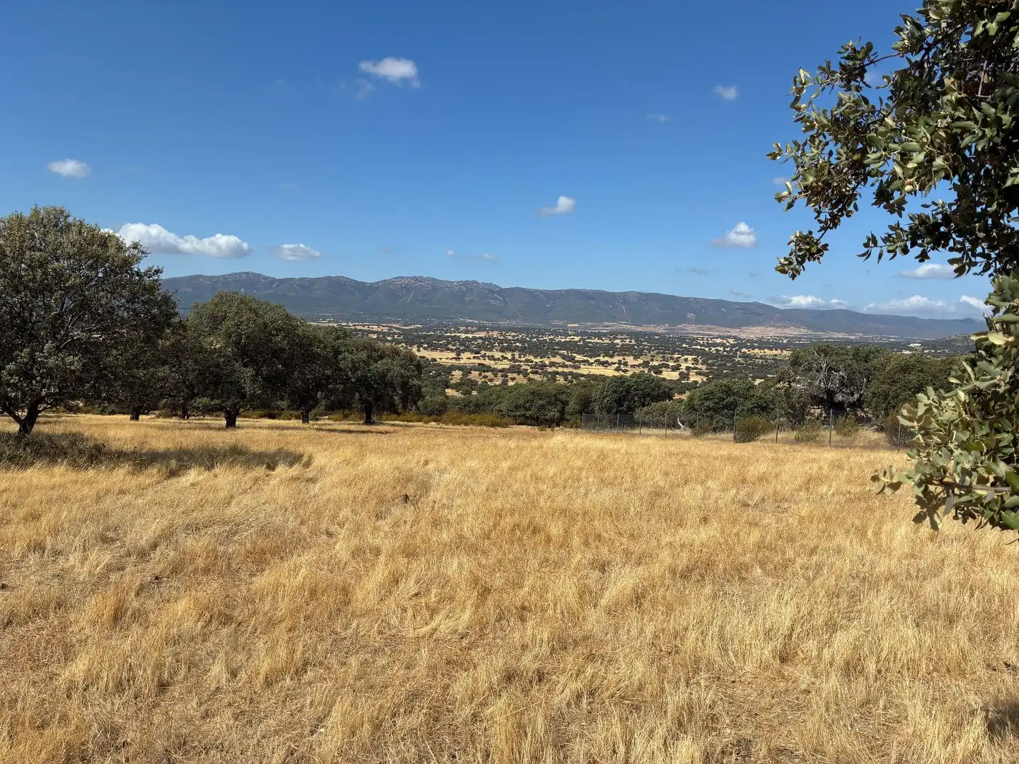Rural land for sale in Mohedas de la Jara, imagen 3