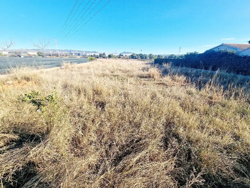 Terreno rustico in vendita a Sur, imagen 4
