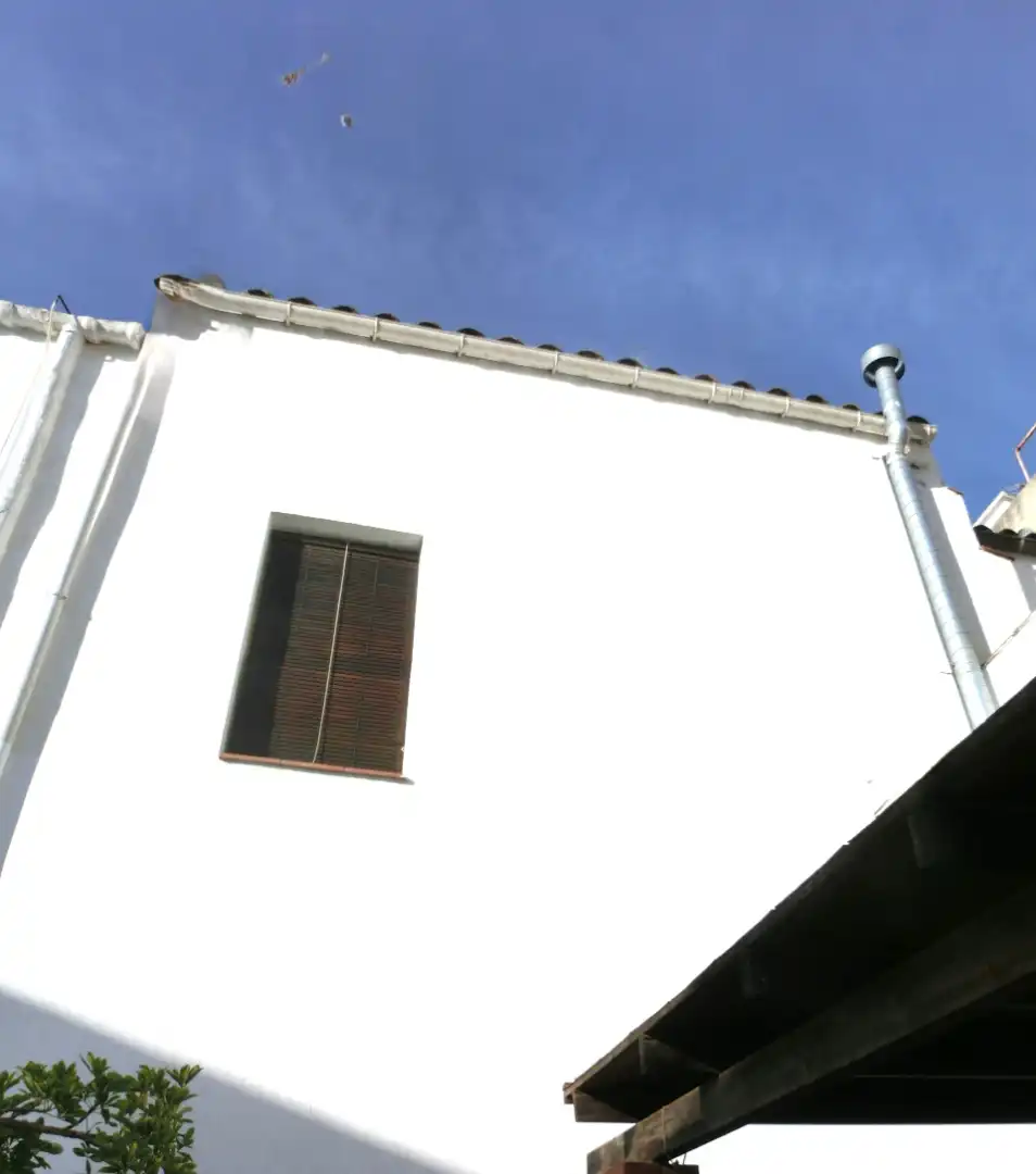 Vista exterior de Casa o chalet en venta en Canet de Mar con Aire acondicionado, Terraza y Balcón