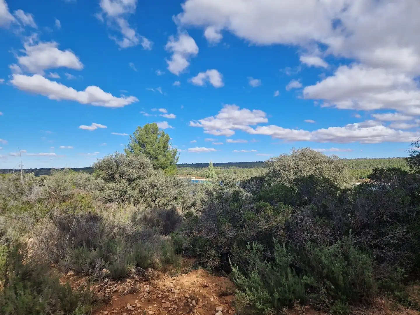 Rural land for sale in Pantano de Peñarroya 0, imagen 13