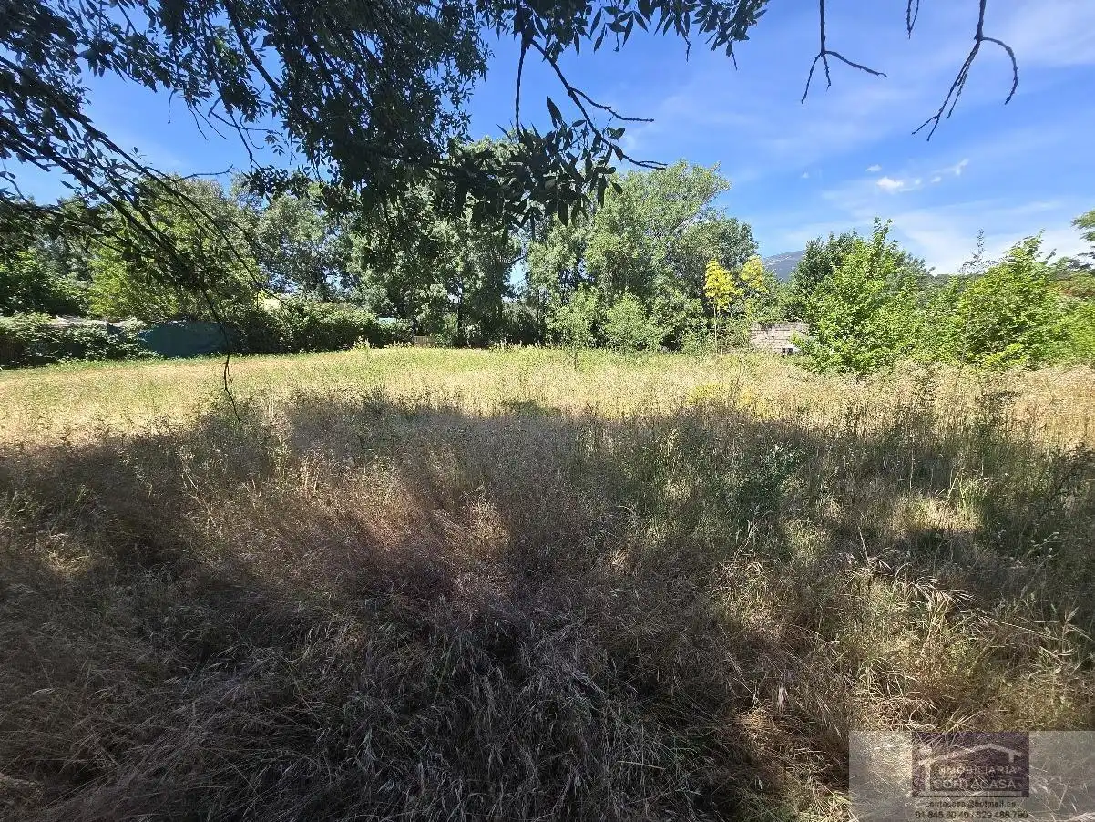 Finca rústica en venta en La Moraleja