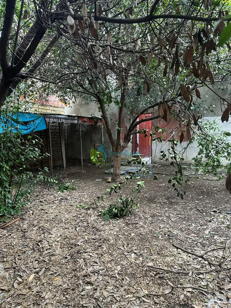 Jardín de Local en venta en Sevilla
