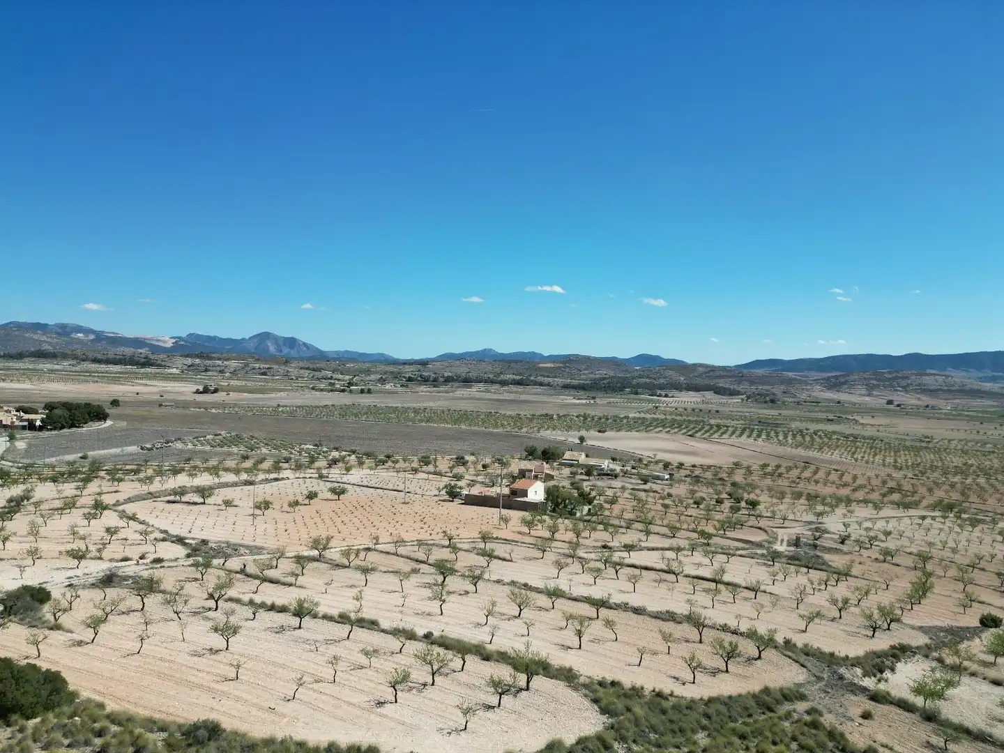 Terreny residencial en venda a Jumilla, imagen 9