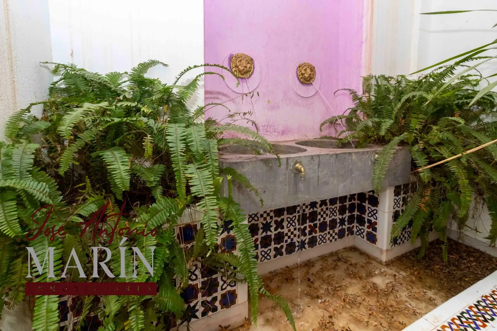 Jardí de Casa o xalet en venda en Badajoz amb Calefacció i Terrassa