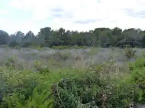 Residential land for sale in Coma-ruga platja, imagen 7