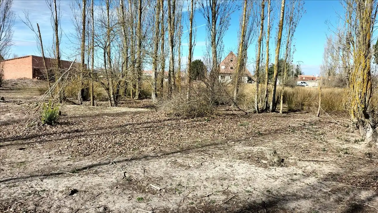 Residential land for sale in PALOMA, imagen 13