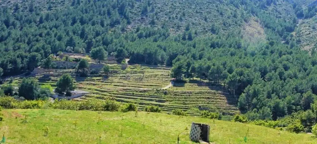 Terreny residencial en venda a Callosa d'en Sarrià, imagen 43