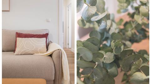 Photo 4 of Flat to rent in Calle Alcalde Joaquín Alonso, 27, La Luz - El Torcal, Málaga