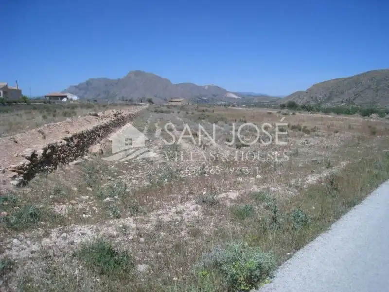 Terreno rústico en venta en Hondón de los Frailes, imagen 2