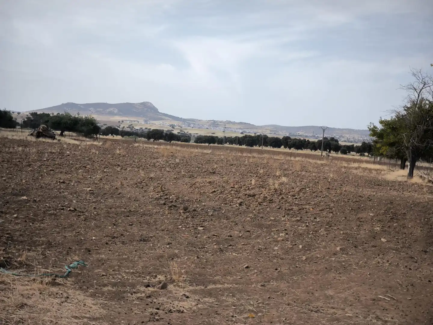 Finca rústica en venda en El Viso de San Juan