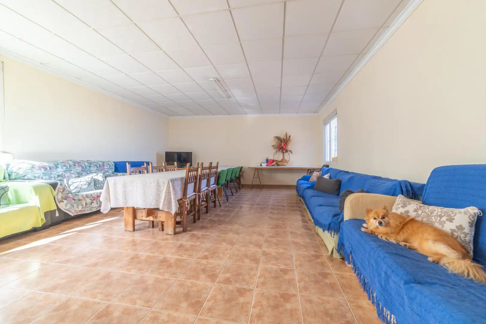 Finca rústica en venda a Balsicas