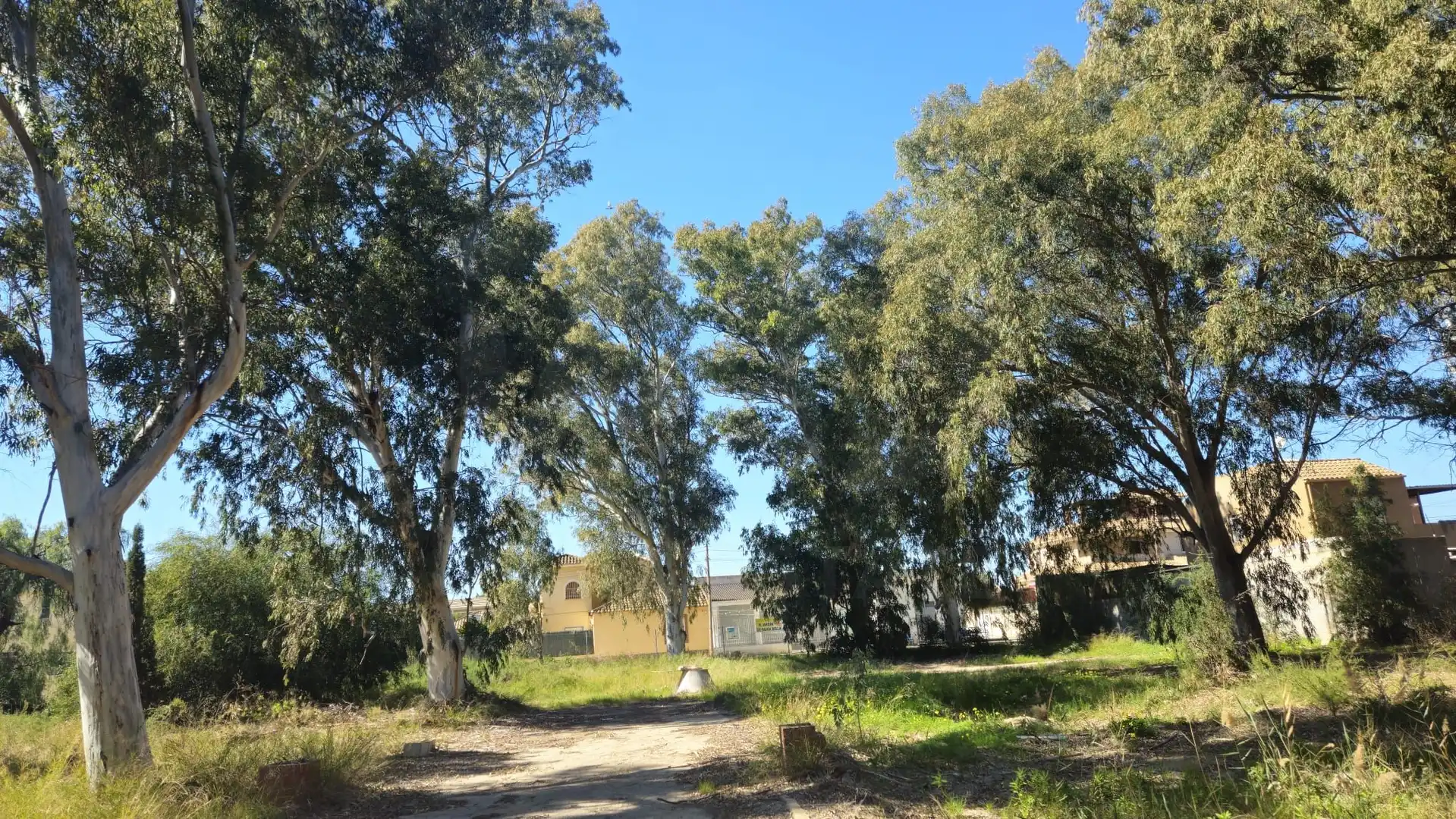 Terrenos y solares en venta en Mar Menor de Cartagena – Cabo de Palos, imagen 18