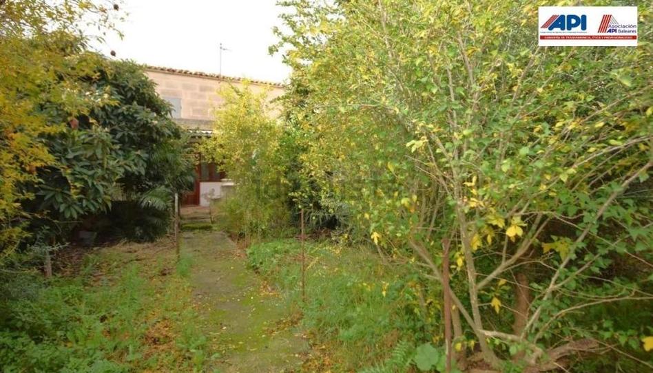 Photo 1 of House or chalet for sale in Calle Major, 35, Petra, Illes Balears