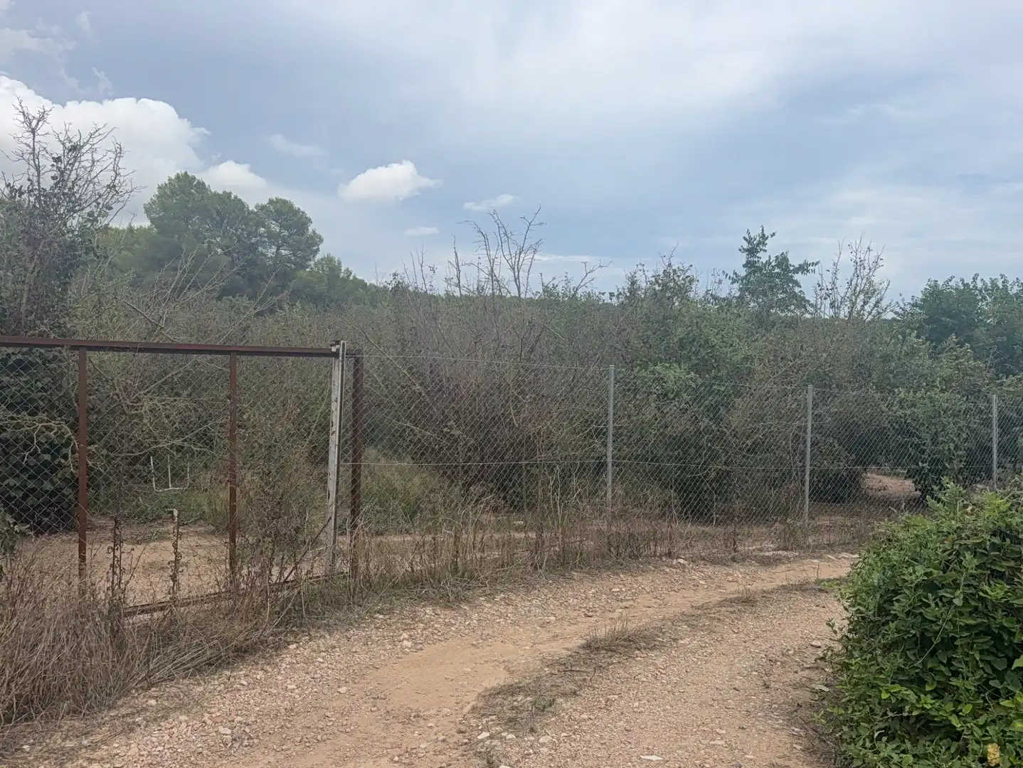 Terreny rústic en venda a Carretera del Catllar 22, imagen 3