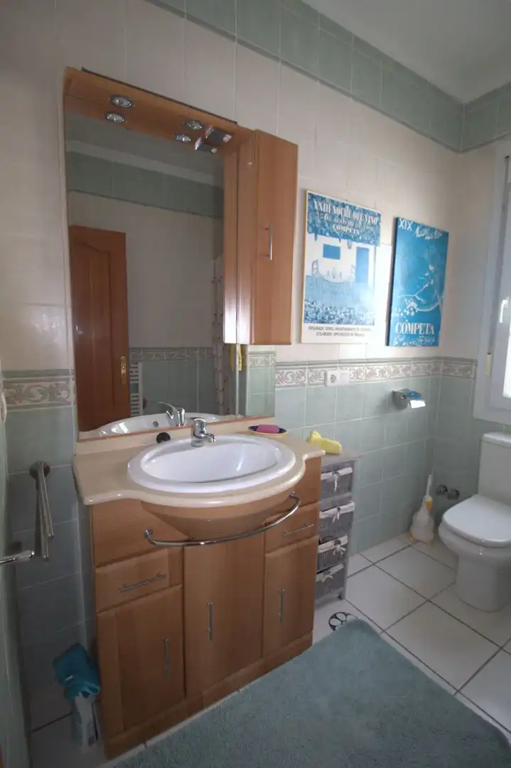 Baño de Casa o chalet en venta en Cómpeta con Jardín privado