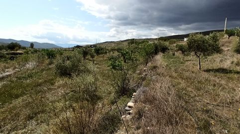 Terreno parcela en Senés, immagine 4
