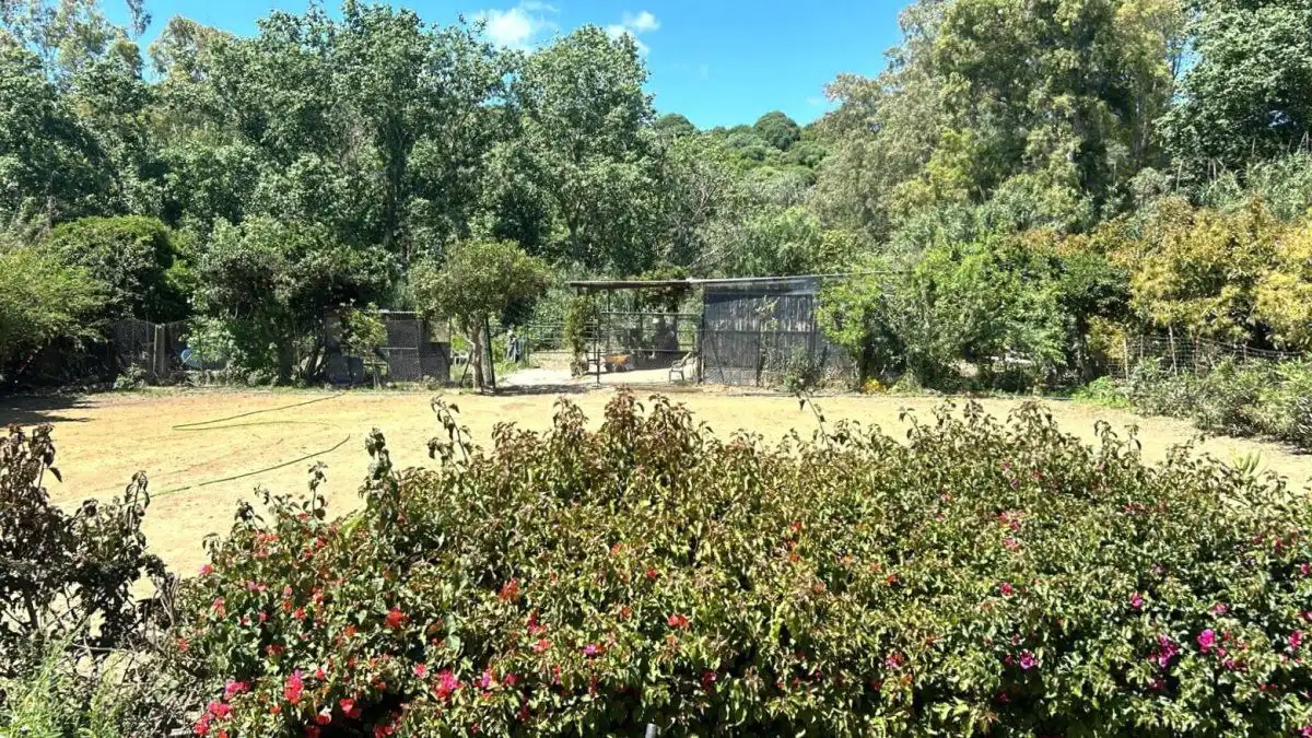 Jardí de Finca rústica en venda en San Martín del Tesorillo amb Terrassa
