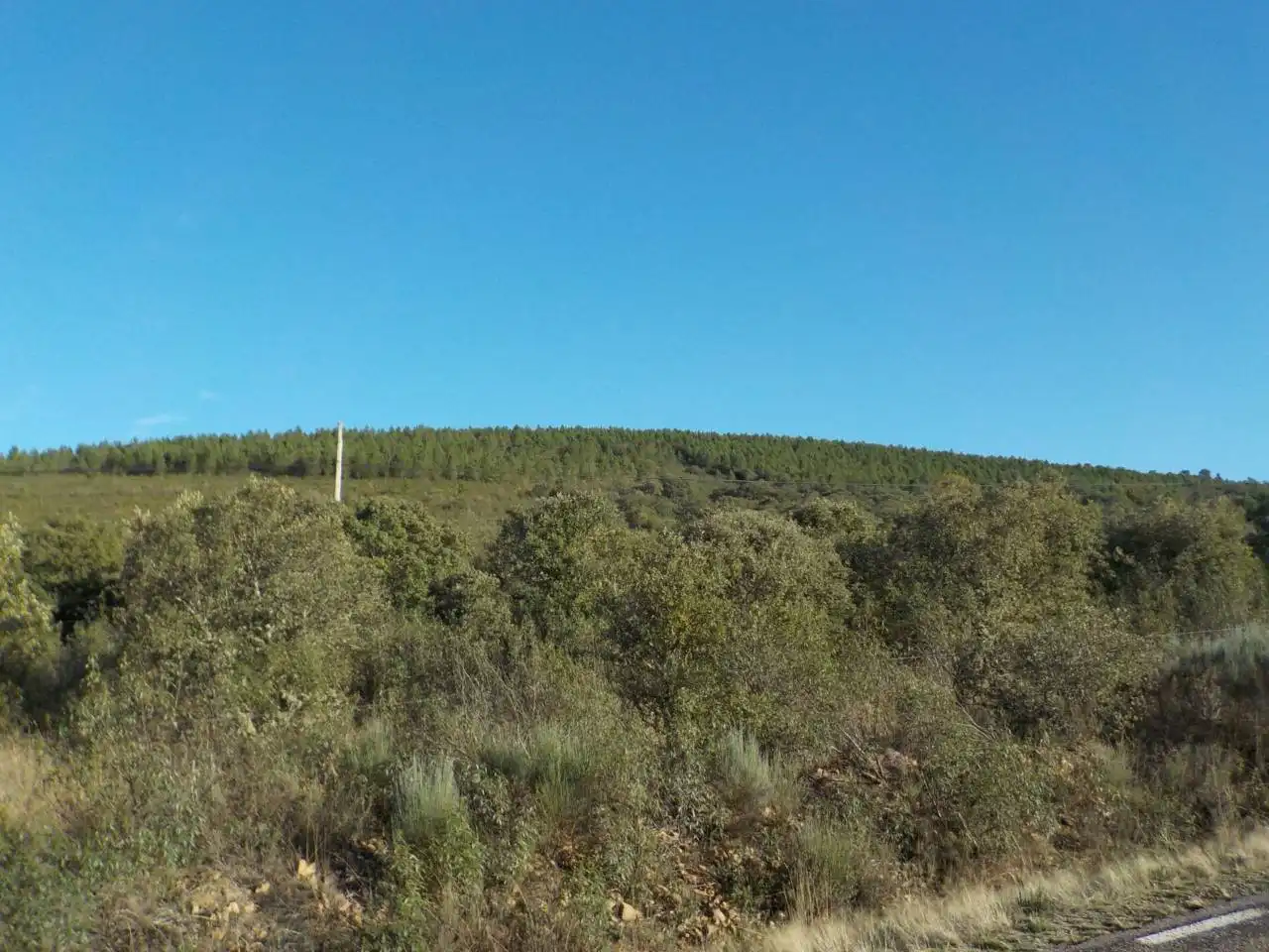 Terreny rústic en venda a Serradilla del Arroyo, imagen 3