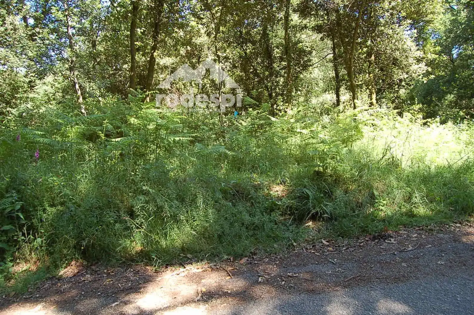 Terrain rustique à vendre à Salvaterra de Miño, imagen 3