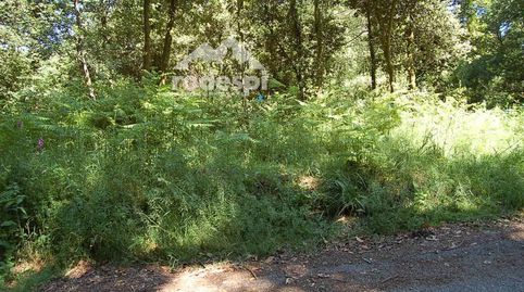 Venta parcela en Lira, Salvaterra., imatge 3