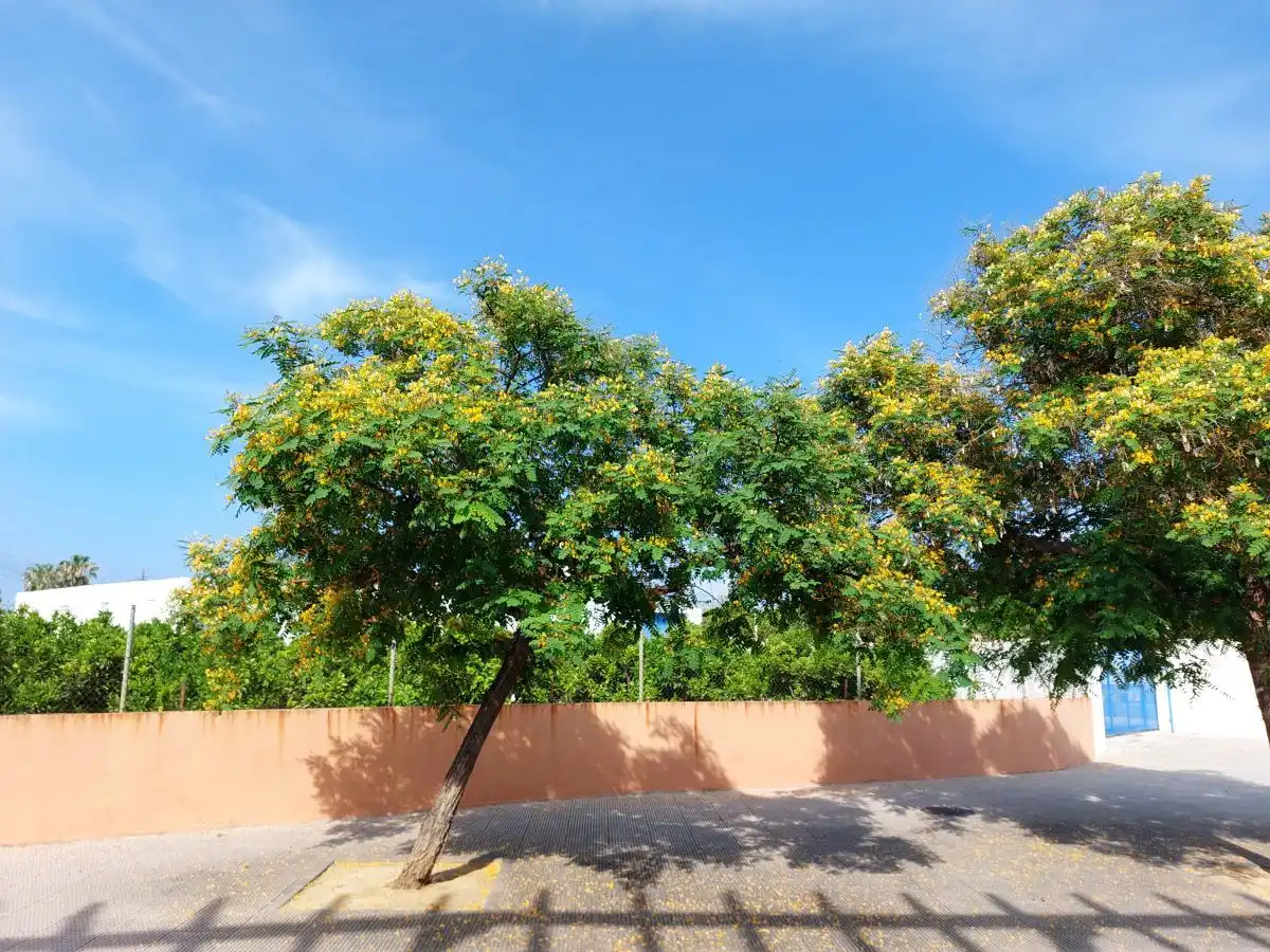 Jardí de Residencial en venda en Els Poblets