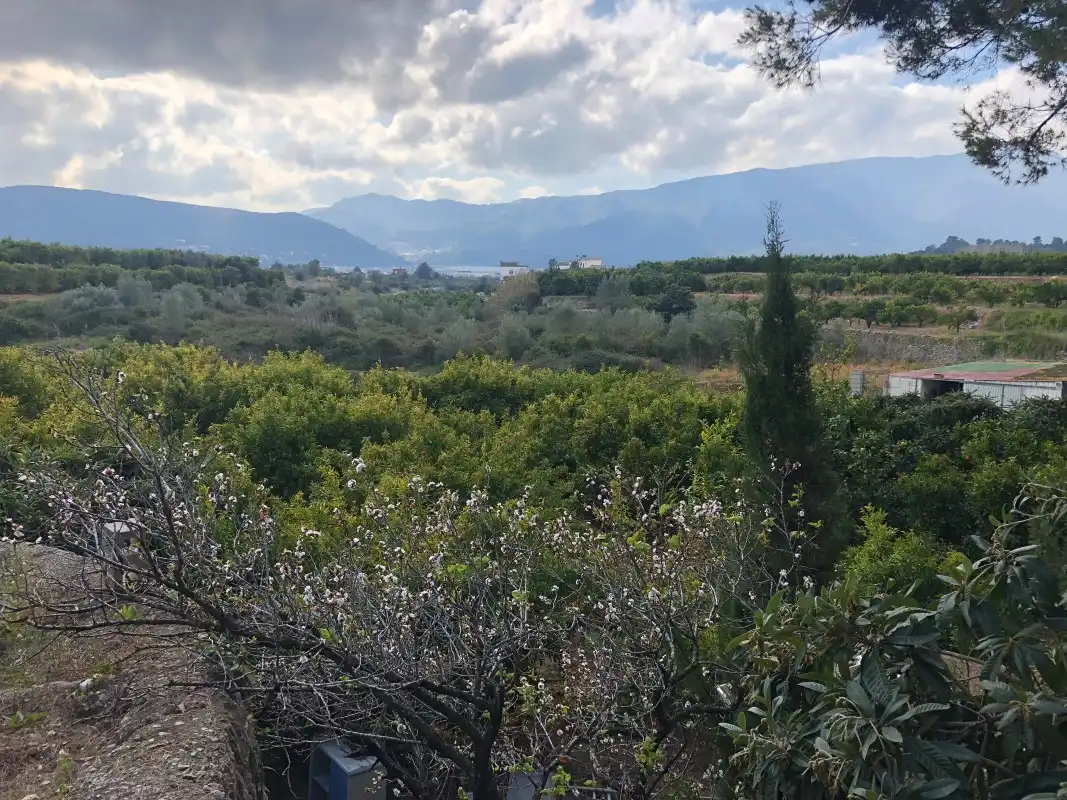 Finca rústica en venta en Almoines con Jardín privado y Terraza