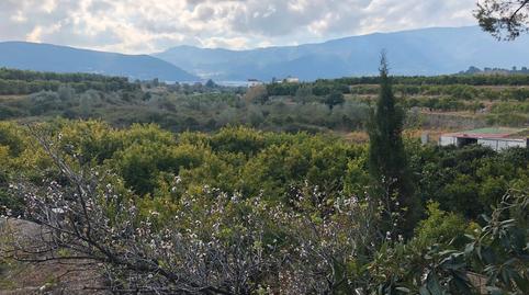 Photo 3 of Country house for sale in Almoines, Valencia